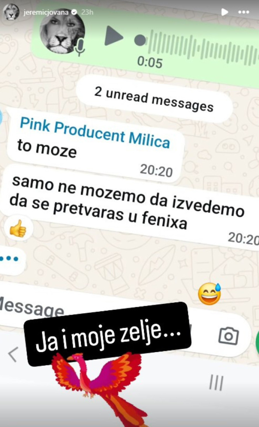 Produkcija odbila Jeremićkin predlog! Voditeljka pokazala prepisku: To ne može! (FOTO)