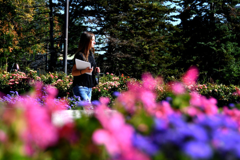 Evo kakvo je stanje na granicama: Teretnjaci čekaju po četiri sata na izlazu iz Srbije na ovim prelazima!