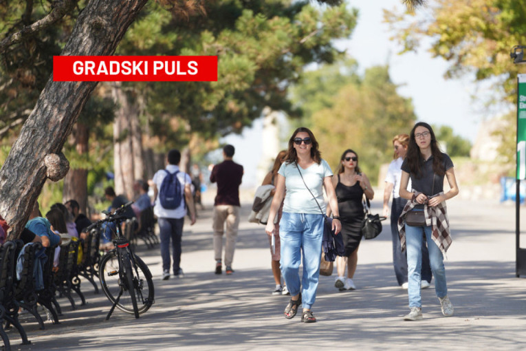 Beograd ima svoju Amazoniju: Tarzan plaža je pravi izbor za beg od gradske vreve za manje od 500 dinara (FOTO)