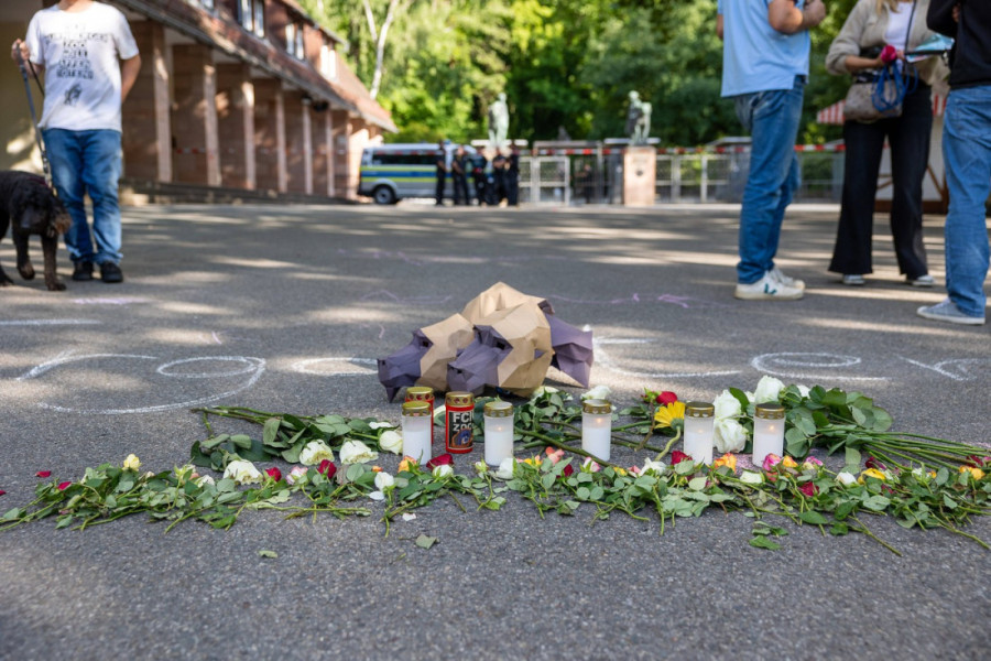 Skandal u nemačkom zoo-vrtu: Ubijeni zdravi majmuni jer "nije bilo mesta za njih"?!