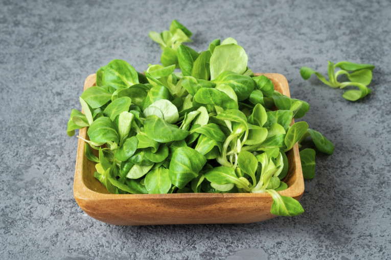 Malo ko zna za ovu biljku koju prati zanimljiva istorija: Uklapa se uz bezbroj jela i obogaćuje ih