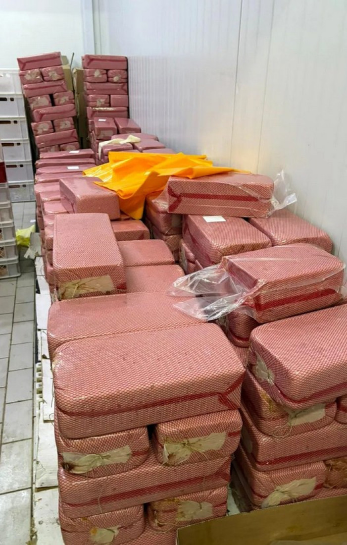 Ovako izgleda četrdeset tona pilećeg mesa zaraženog salmonelom: Spakovali ga u kese i gajbice (FOTO)