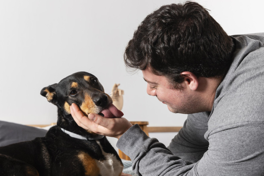 Veterinar otkrio zašto psi naginju glavu u stranu dok im pričamo