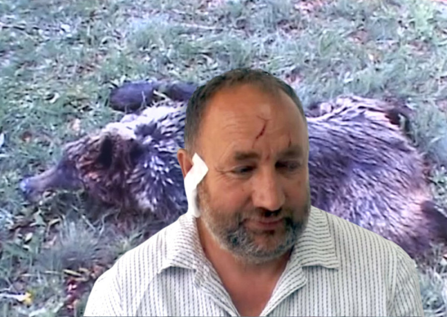 Medved terorista sa surovom ekipom proganja sela: Iskopava grobove i napada stoku!