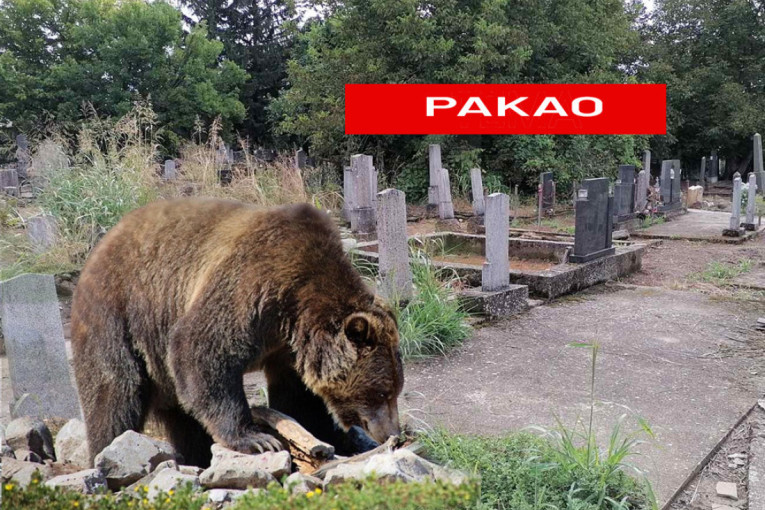 Ovo je vaša prilika: Prijava još par dana, evo na šta se odnosi konkurs i ko ima pravo