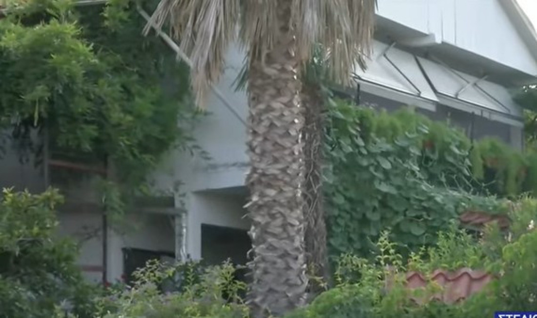 Panika u komšiluku: Velika najezda opasnih insekata, svi beže sa plaža