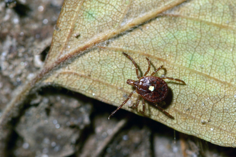 Šok presuda u Seulu: Kazna udvostručena bivšoj prvoj dami