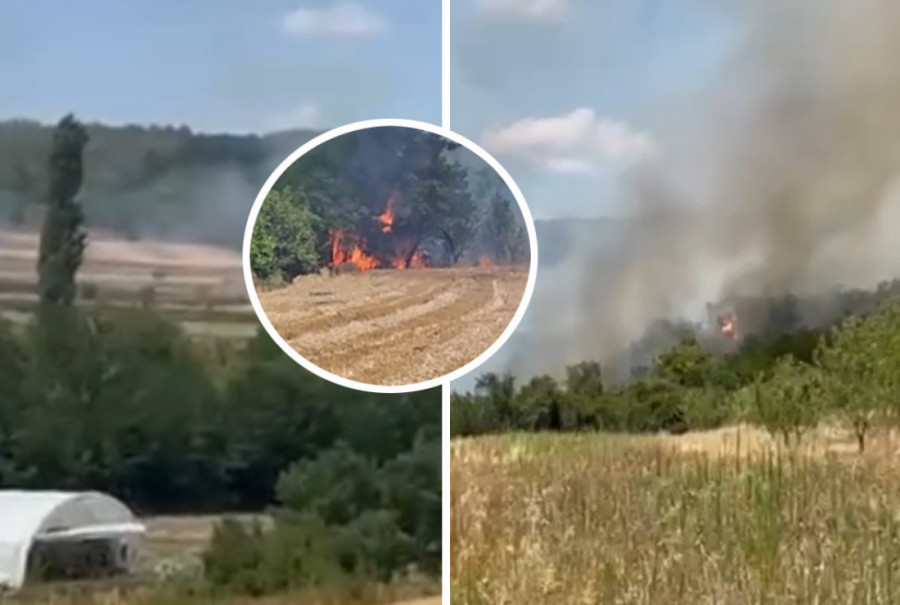 Gori jug Srbije! Vatra divlja, guta sve pred sobom!
