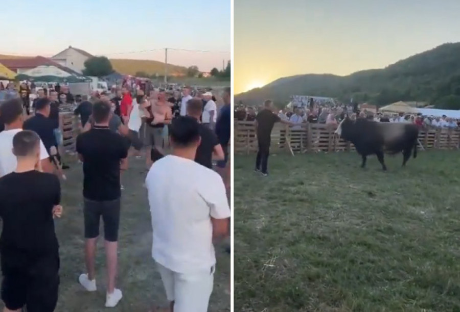 Upali sestri u stan pa krenuli da mlate dečka! Horor u Barajevu - on skočio kroz prozor!