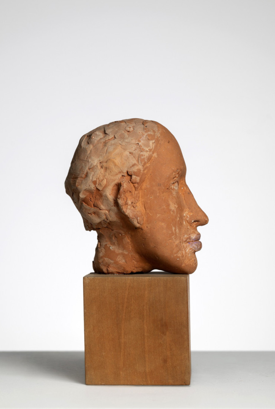 Misteriozni portreti koji kriju tajnu: Impresivna izložba u Muzeju savremene umetnosti (FOTO)