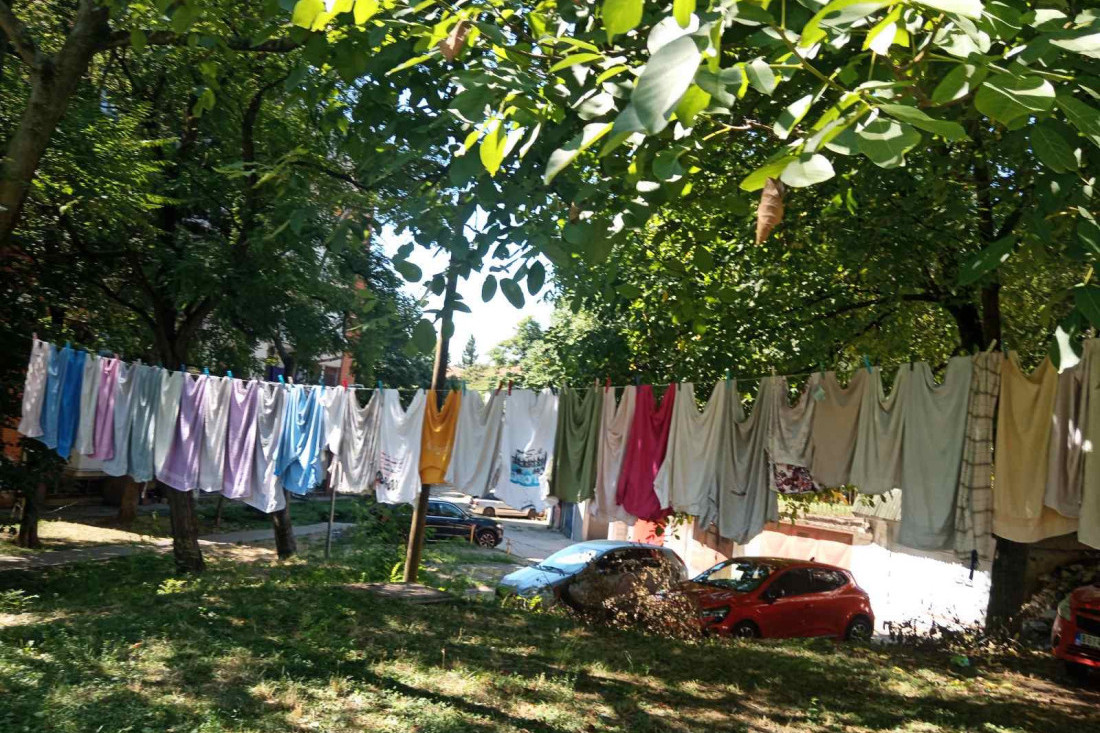 Hapšenje u Novom Sadu: Milioni namenjeni projektima završili u lažnim izveštajima!