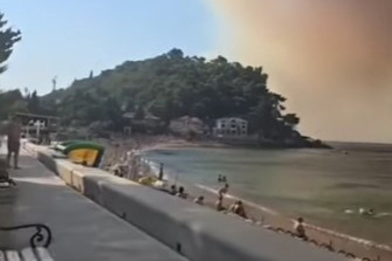 Boj na Mišaru: Čuvena bitka i jedna od najblistavijih pobeda srpske vojske u Prvom srpskom ustanku