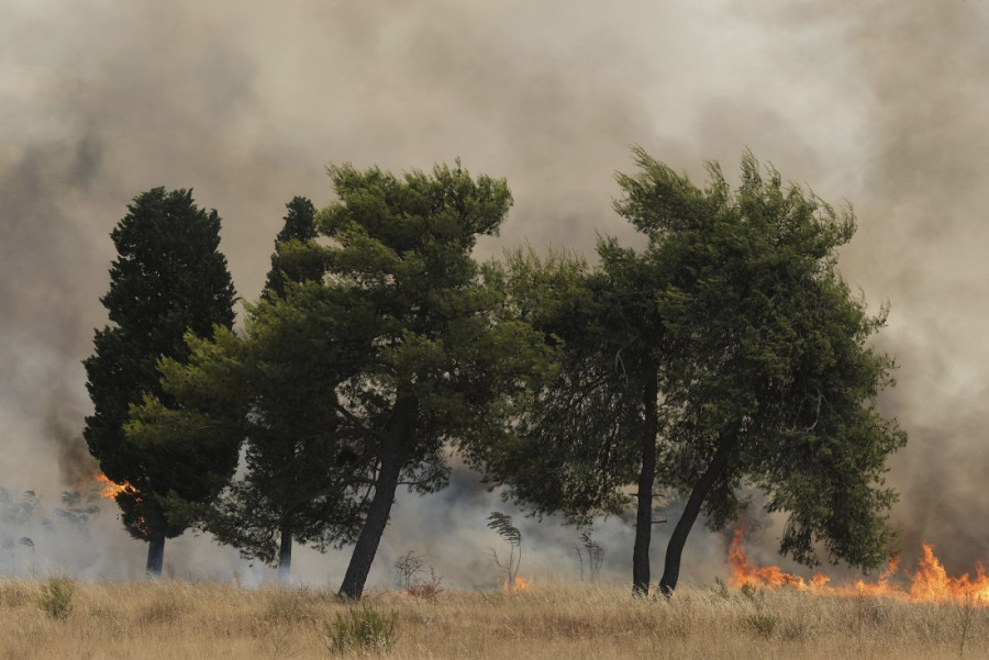 Peti dan borbe sa vatrenom stihijom u Crnoj Gori: Helikopteri iz sveta pristižu u pomoć!