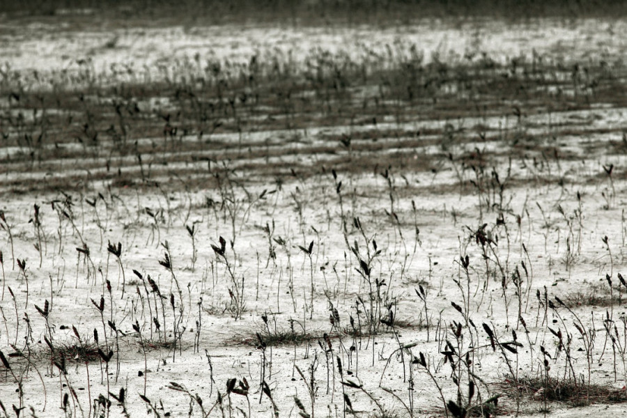 Glad, nezamislivi broj mrtvih i hladnoća: Kako bi izgledala nuklearna zima ako bi oružje masovnog uništenja bilo upotrebljeno