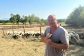 Vrućine prave velike probleme stočarima: Dragan iz Mršinaca ovako brine o kozama i ovcama tokom toplotnog talasa (FOTO)