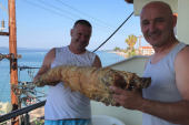 Celo jagnje u gepeku do Grčke: Srbin postao glavna atrakcija na plaži! (FOTO)