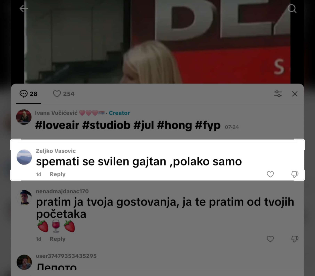 ANS osudio monstruozne pretnje Ivani Vučićević