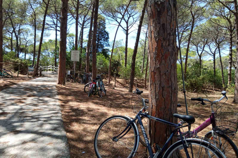 Posetili smo Algero, grad u Rivijeri korala i oduševili se! Do čuvene plaže uz kod, a za iznajmljivanje stana ovo morate znati (FOTO)