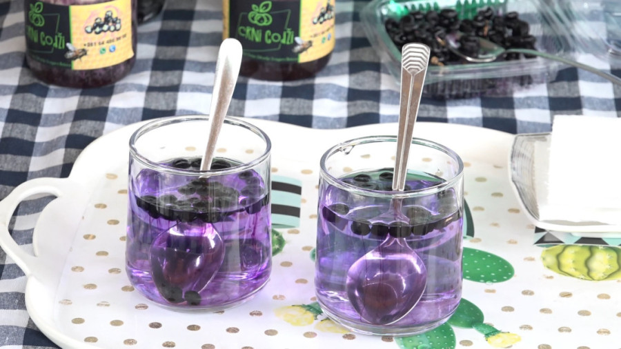 Crno zlato iz plastenika, koje leči i rak: Skenderovići uzgajaju retke crne godži bobice – jedini u Srbiji (FOTO)