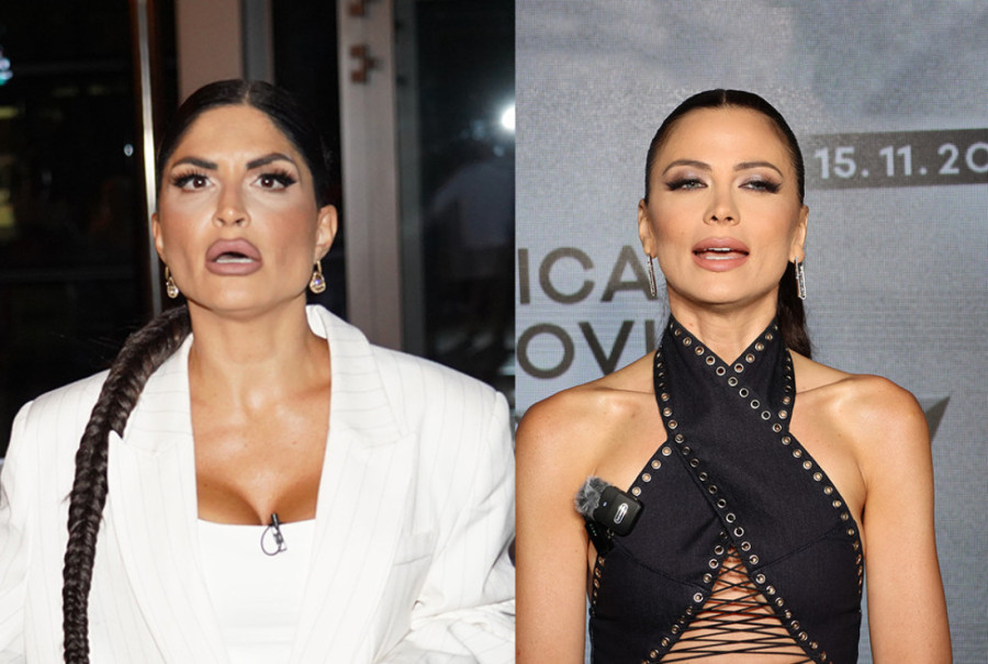 Jelena Ilić pokreće privatni biznis! I pored sajta za odrasle - našla je kako će da zarađuje