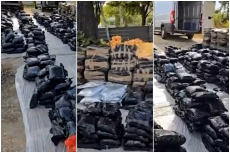 Carinici ostali u šoku: Umesto kofera, iz autobusa isplivalo 500 kg sudžuka! (FOTO)