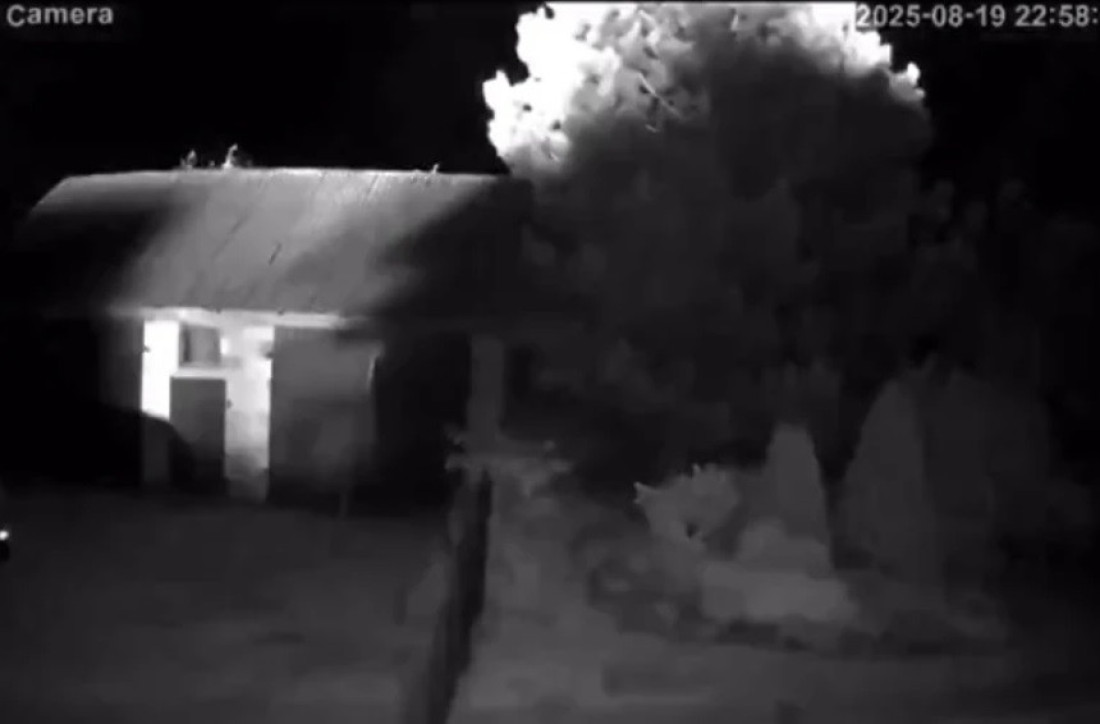 Ustaški pozdrav skupo koštao Austrijance: Posle Tompsonovog koncerta država kaznila nekoliko svojih državljana