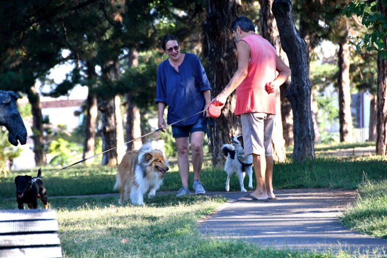 Opština Stari grad pokreće neobičan projekat – vlasnici pasa na udaru!
