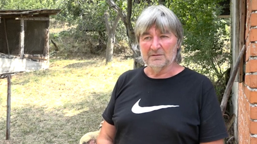 Jeziv pokolj u Priboju - psi lutalice rastrgli 18 ovaca! Ljubinku treći put uništeno stado (FOTO)