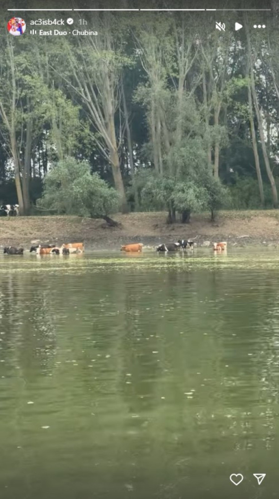 Evo kako se Veljko Ražnatović oporavlja nakon povrede: Snimak isplivao u javnost!