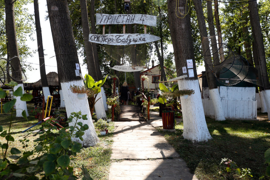 Tarzan plaža na 40 minuta od Beograda: Raj za avanturiste koji vole skokove u vodu i sa cenom kafe ispod 200 dinara (FOTO/VIDEO)