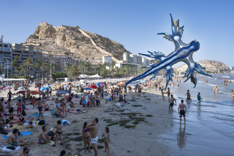 Strah na popularnoj plaži! Turistima naređeno da hitno napuste vodu zbog opasnog stvorenja