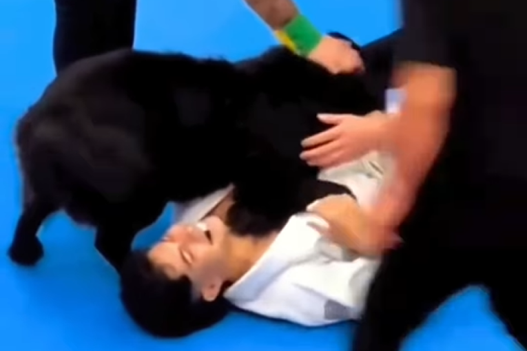 Pas prekinuo borbu da bi utešio vlasnika: Dirljiva scena raznežila publiku i obišla svet! (VIDEO)