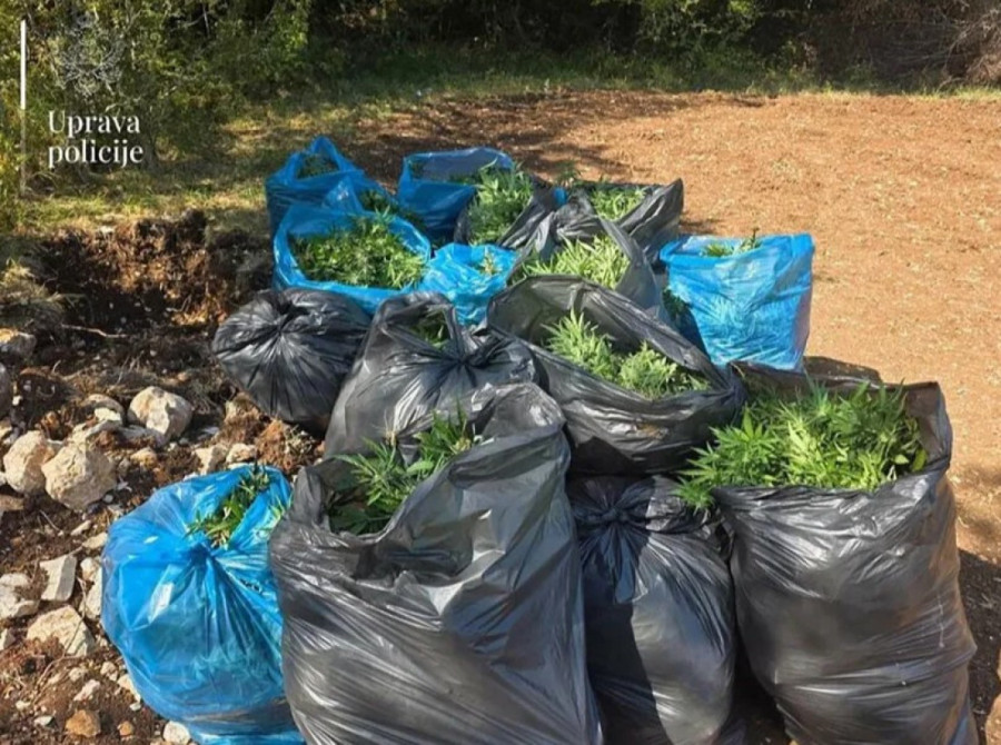 Crna Gora kao Meksiko! Uhapsili Maraša, a drogu iznosili u džakovima! (FOTO)