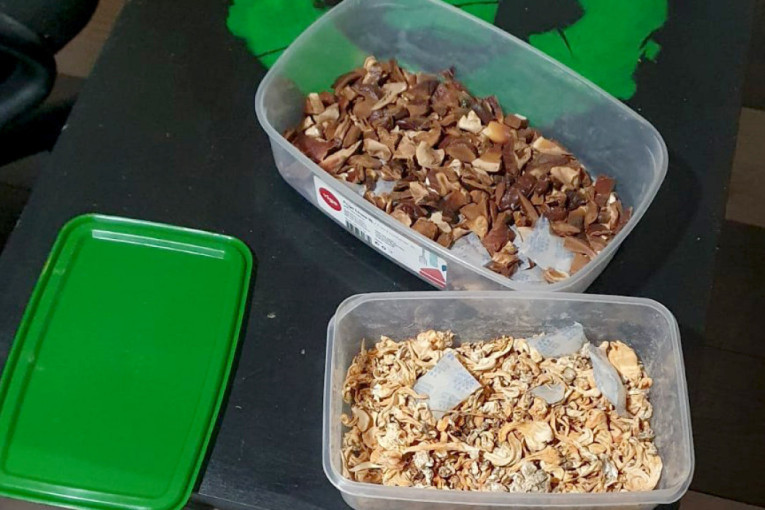Razbijena mreža u Bečeju: Otkrivene dve laboratorije za psihoaktivne pečurke! (FOTO)