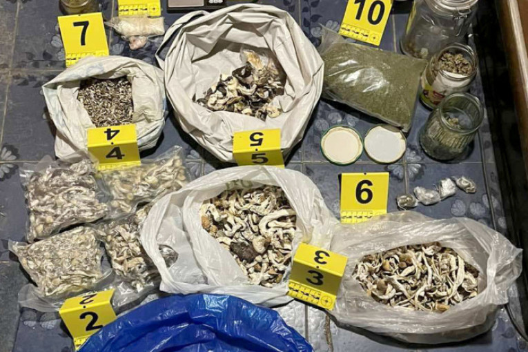 Razbijena mreža u Bečeju: Otkrivene dve laboratorije za psihoaktivne pečurke! (FOTO)