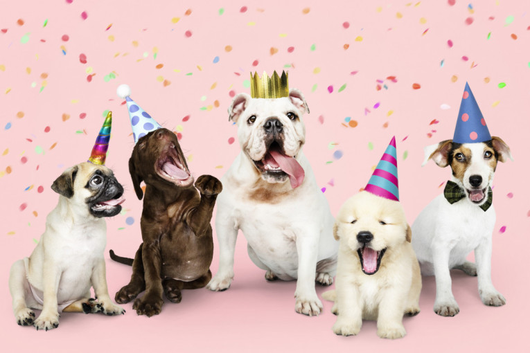 Klasično ime ponovo na vrhu liste najpopularnijih imena za pse u 2025. godini