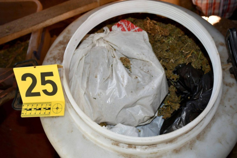 A u Vranje, pola tone granje! Drogu iznosili u kesama, a u kući čitav arsenal oružja! (GALERIJA)