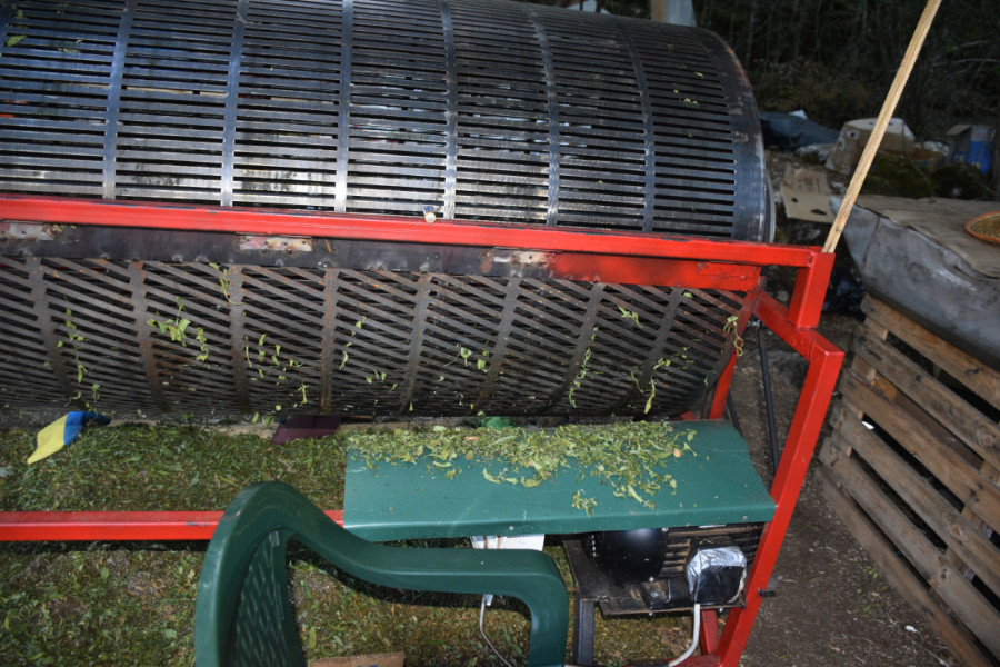Ovo je mapa najveće plantaže marihuane u regionu! Pogledajte nezapamćeno otkriće crnogorske policije (FOTO)