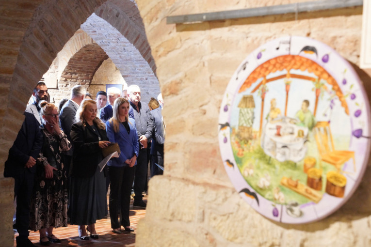 Ministarka Đurđević Stamenkovski otvorila je izložbu "Sećanja u slici" (FOTO)