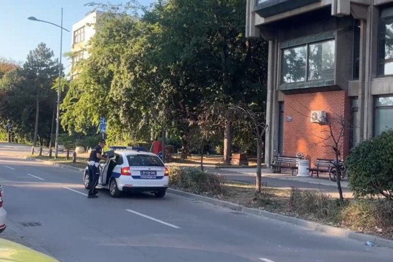Lisice za dvojicu nasilnika: Hapšenja zbog napada na policajce ispred Filozofskog fakulteta u Novom Sadu