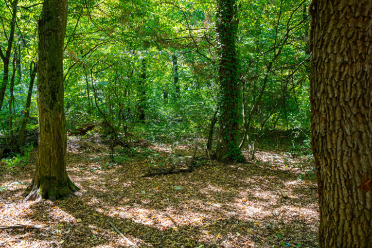 Mali: Plate u zdravstvu od 1. oktobra biće vanredno povećane 5 odsto