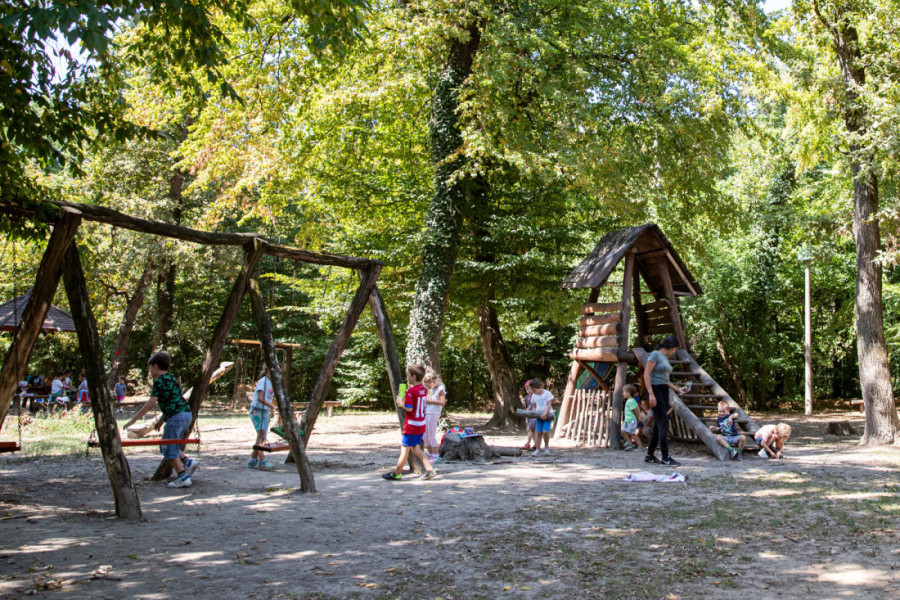 Kako je Bojčinska šuma postala Šervud? Obišli smo izletište nadomak Beograda gde se mangulice brčkaju, a krave slobodno šetaju (FOTO/VIDEO)