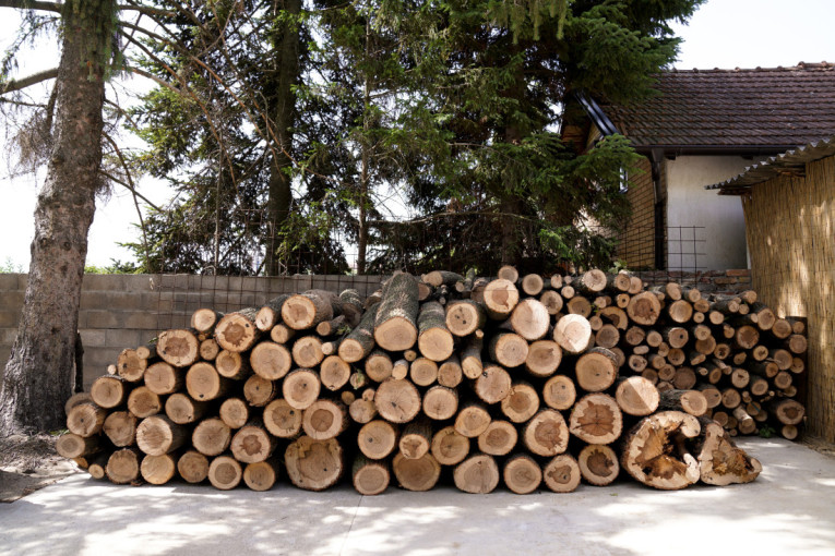 Stiže velika pomoć za jedanaestočlanu porodicu! Vučić u Rakovici: Mnogo sam srećan kada vidim porodicu sa devetoro dece! (FOTO/VIDEO)