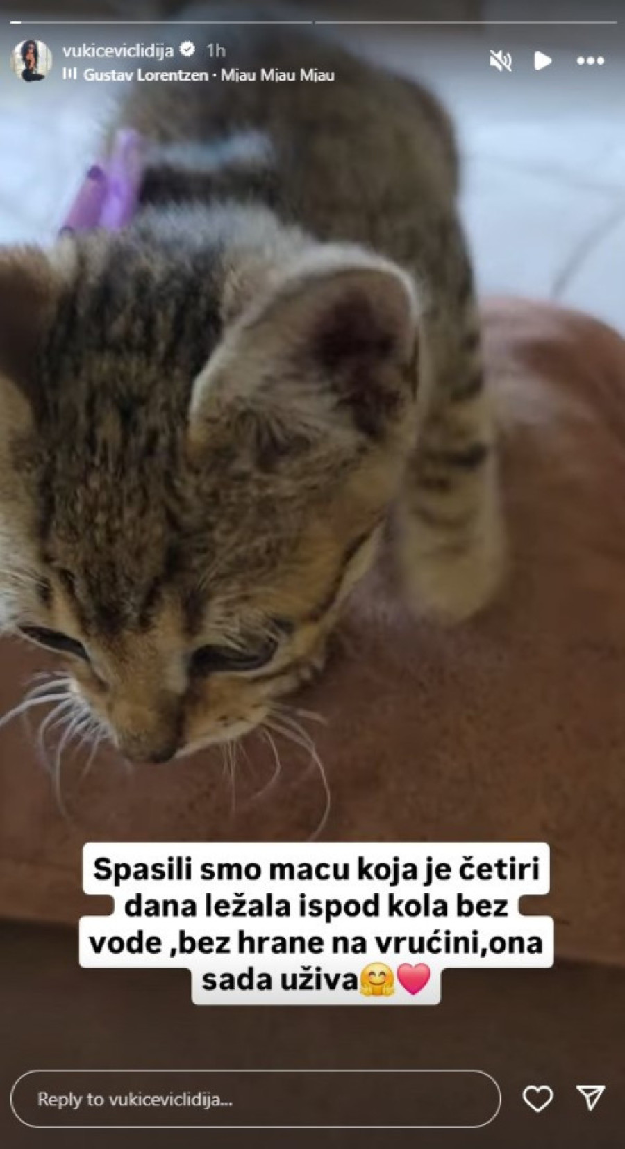 Humanost na delu! Lidija Vukićević uradila veliku stvar, ovaj prizor će vas rasplakati (FOTO)