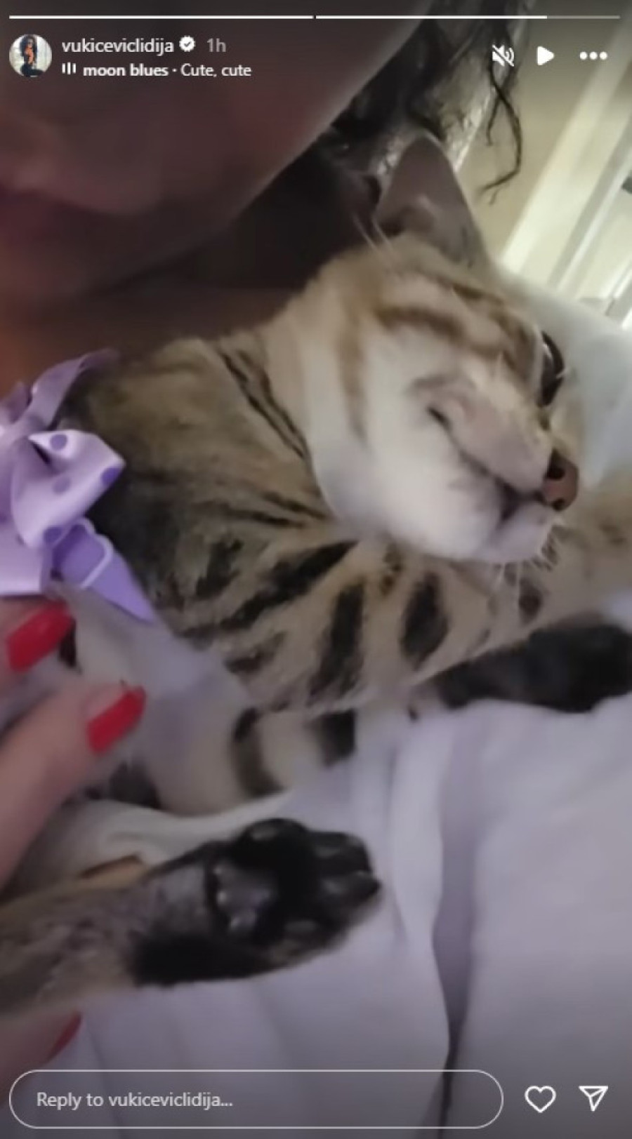 Humanost na delu! Lidija Vukićević uradila veliku stvar, ovaj prizor će vas rasplakati (FOTO)