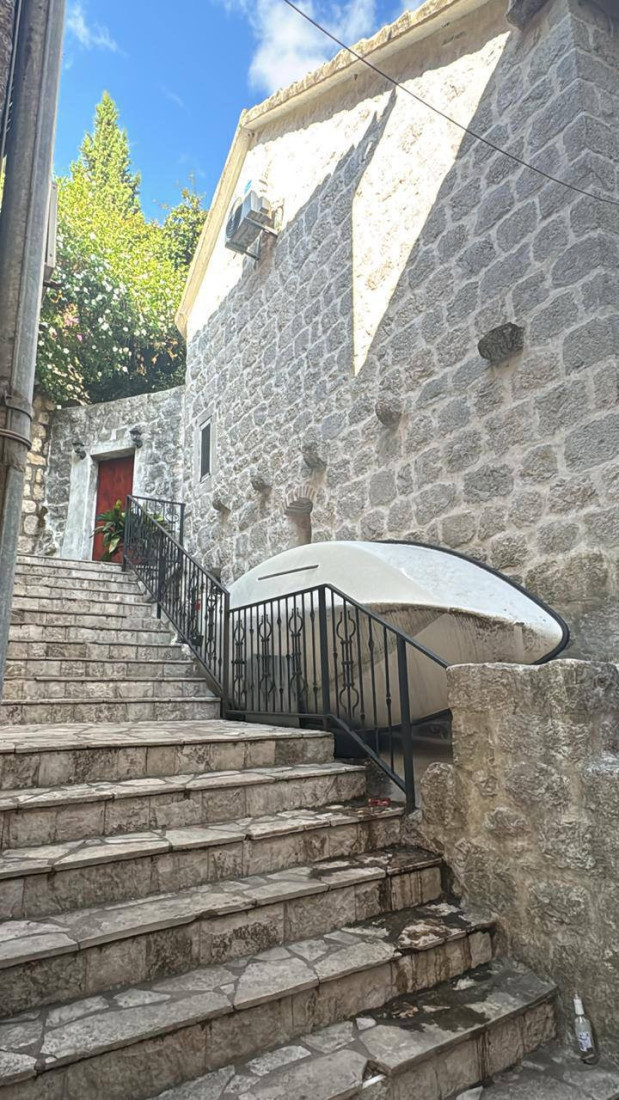 Pogledajte gde su nestali milioni iz BIOSENS-a! Bivši direktor vlasnik kuće u Perastu koja vredi 5 miliona evra!