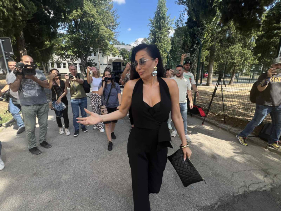 Ceca Ražnatović gradi farmu svinja: Kupila sam njivu, počinjem biznis!