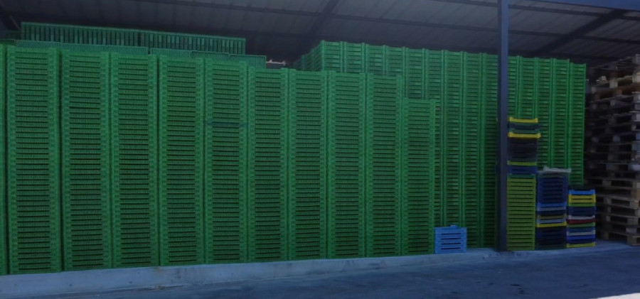 Bolje gazda u selu, nego raditi kod drugog u Beogradu: Ekonomista Dragan se vratio u rodne Kušiće i započeo ovaj biznis (FOTO)