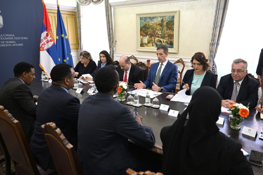 Srbija i Somalija potvrđuju prijateljske odnose: Đurić istakao značaj Kosova i Metohije