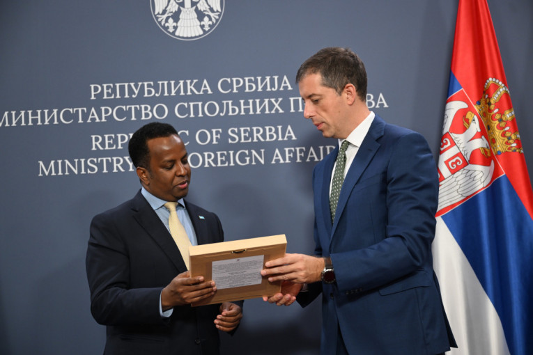 Srbija i Somalija potvrđuju prijateljske odnose: Đurić istakao značaj Kosova i Metohije